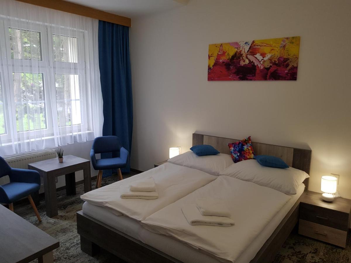 Penzion Vila Tereza Границе Экстерьер фото