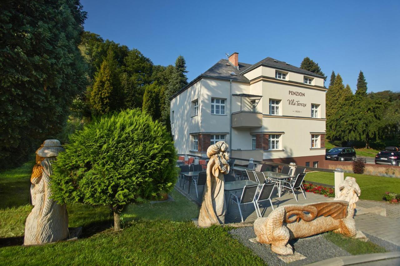 Penzion Vila Tereza Границе Экстерьер фото